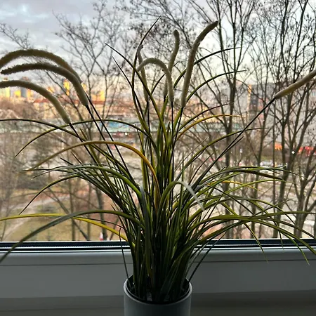 Wielunska 아파트 바르샤바