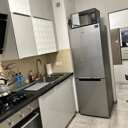 Wielunska 아파트 *