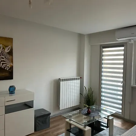 Apartment Wielunska *