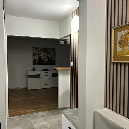 Wielunska Apartment