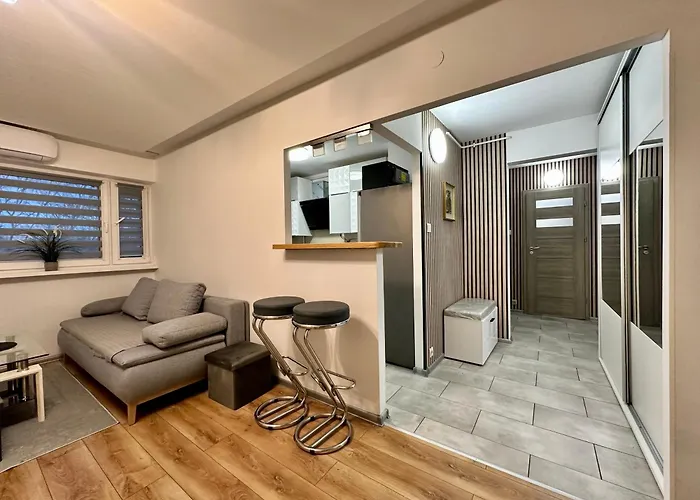 Apartament Wieluńska