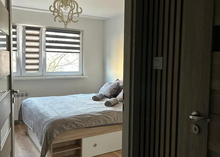 Apartament Wieluńska *