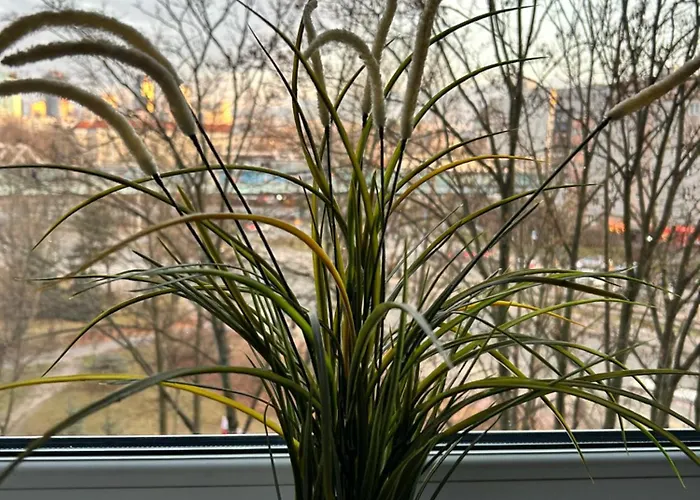 Wieluńska Apartament Warszawa