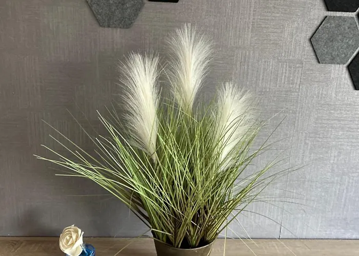 Apartament Wieluńska