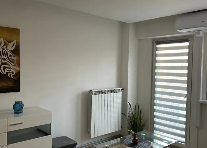 Apartament Wieluńska *