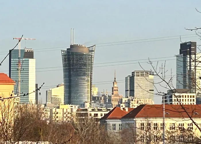 Apartament Wieluńska *