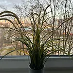 Dworzec Zachodni Wielunska Appartement Warschau